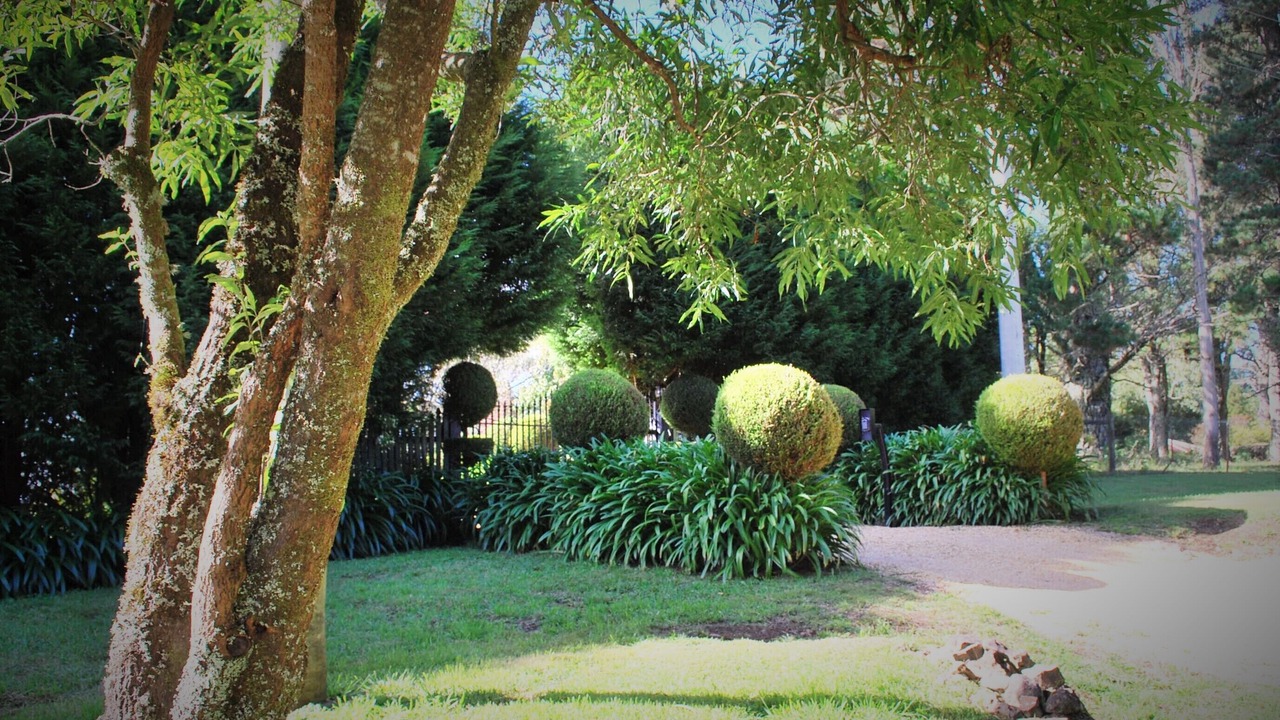 Photo of Others in Mount Tomah