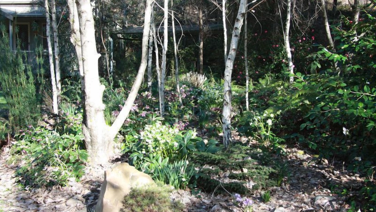 Photo of Outdoor in Harrietville