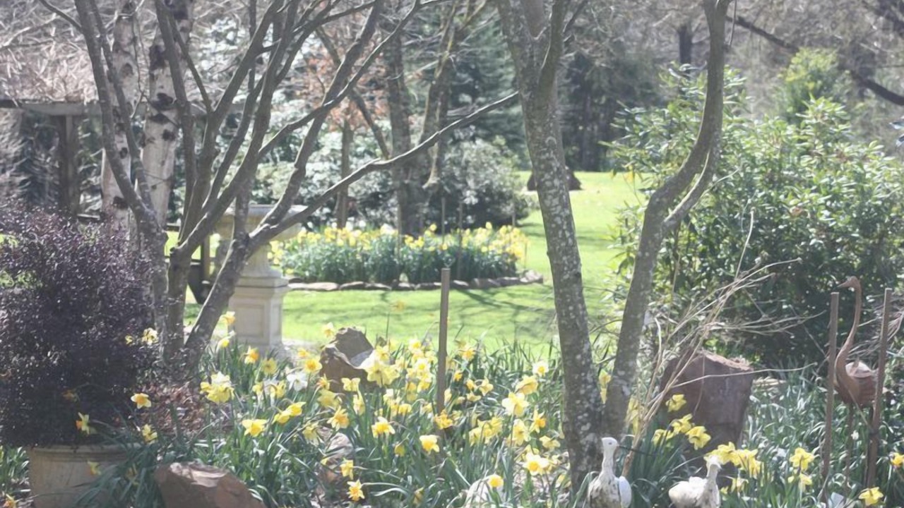 Photo of Outdoor in Harrietville