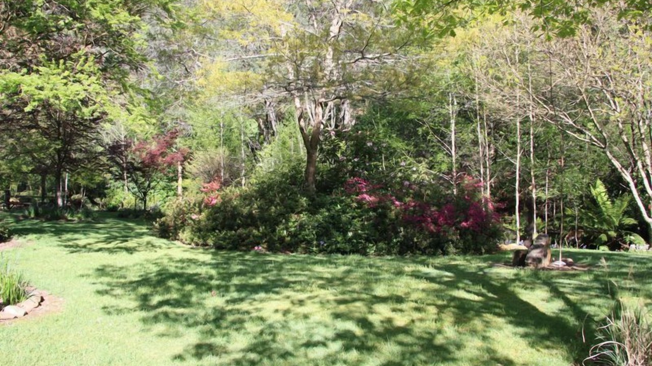 Photo of Outdoor in Harrietville