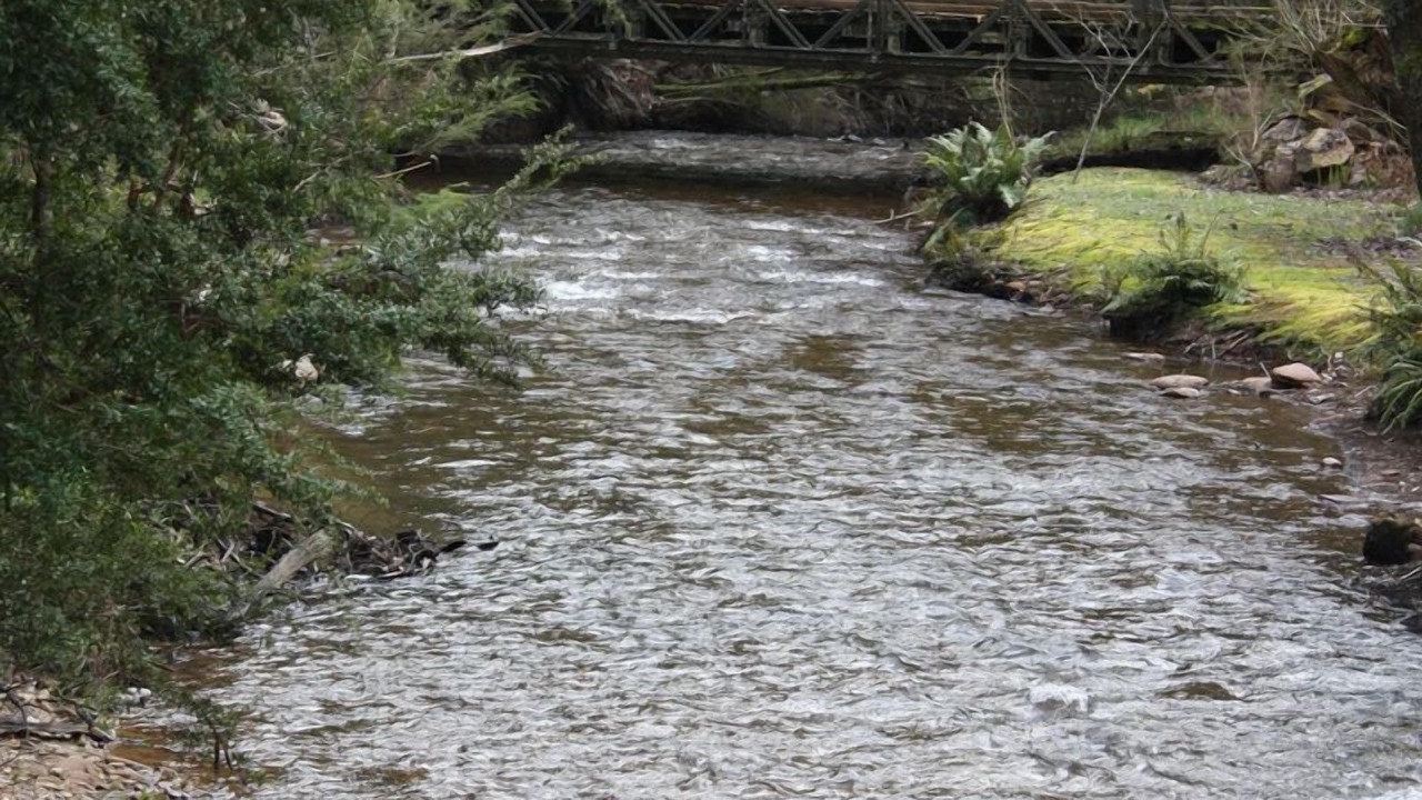 Photo of Outdoor in Harrietville