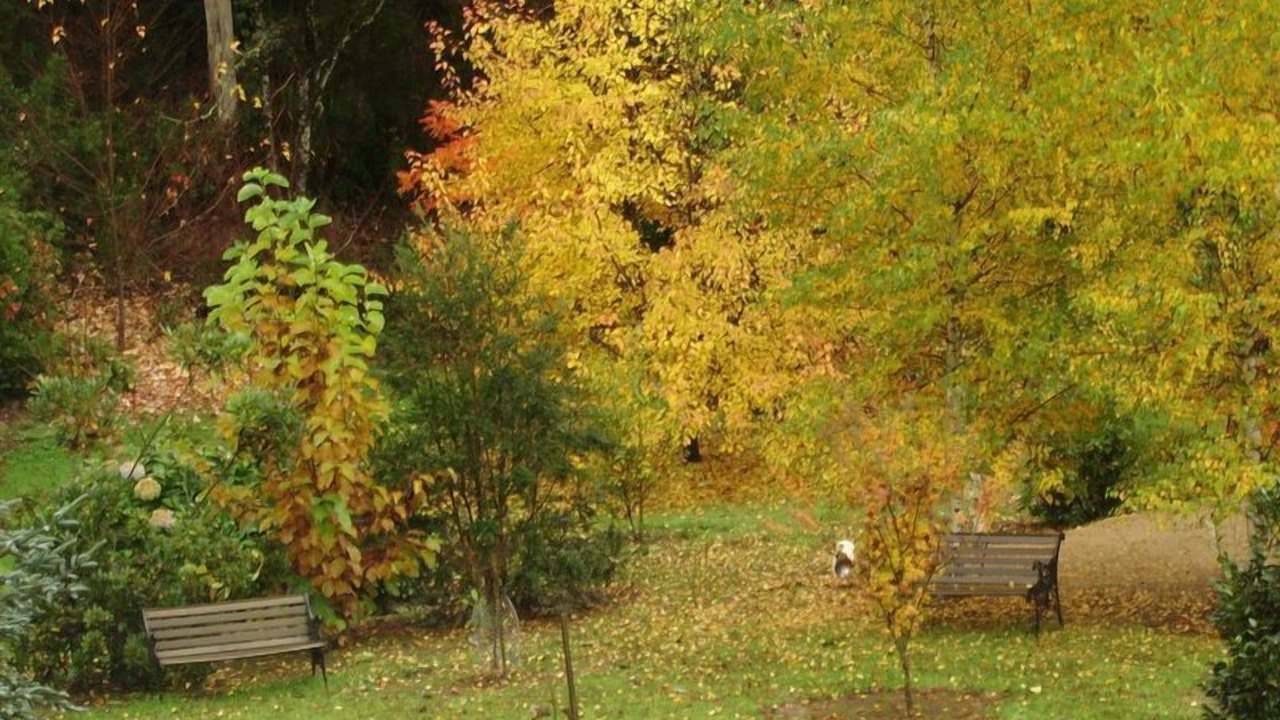 Photo of Outdoor in Harrietville