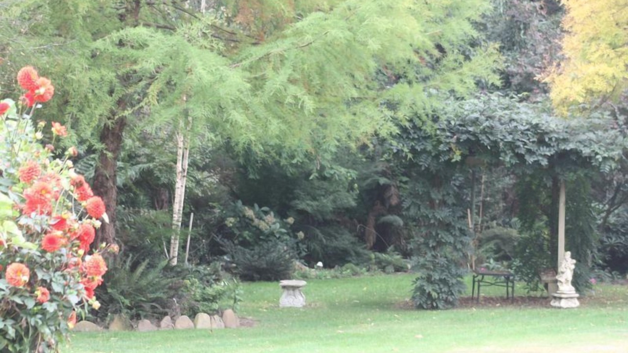Photo of Outdoor in Harrietville