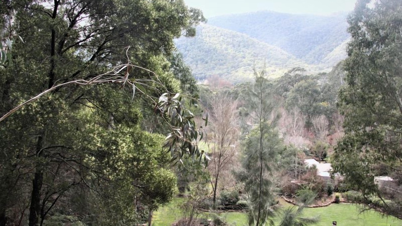 Photo of Outdoor in Harrietville