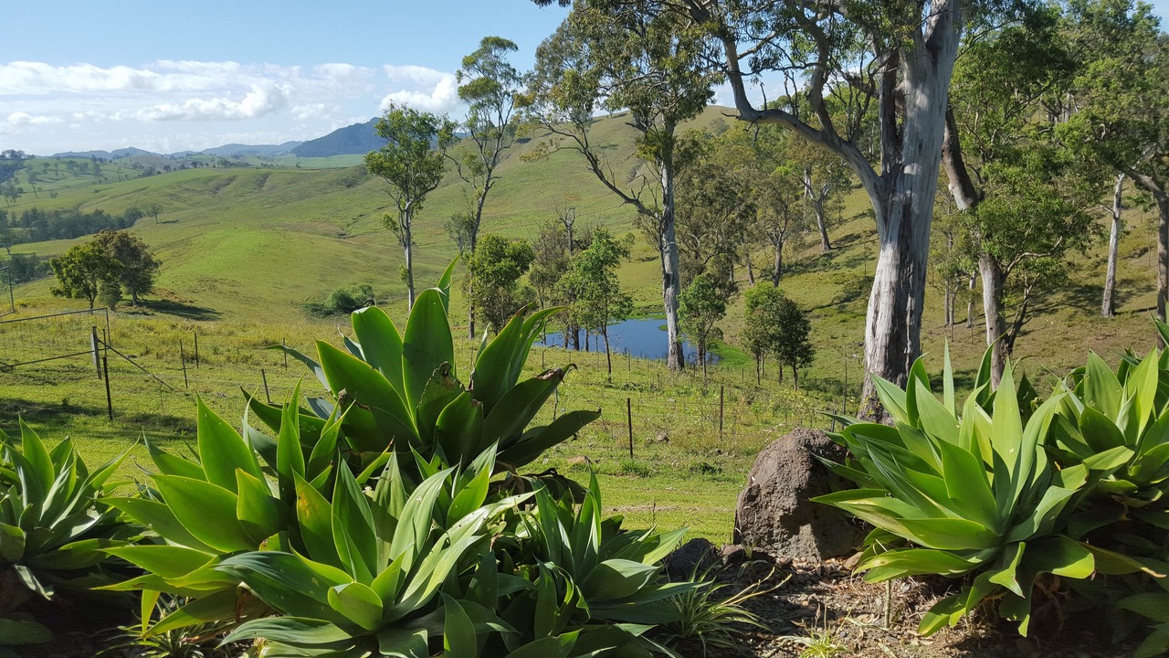 Photo of Outdoor in Bowman Farm