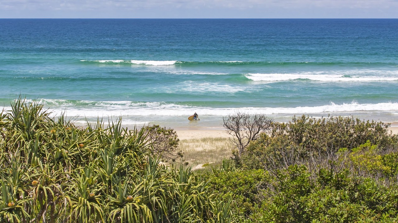 Photo of Others in Hastings Point