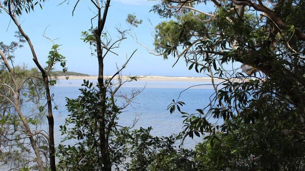 Photo of Outdoor in Smiths Lake