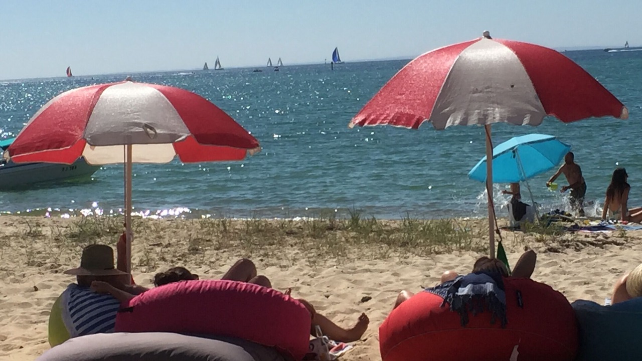 Photo of Others in Dromana