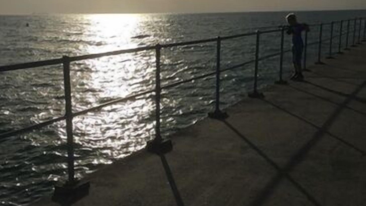Photo of Others in Dromana