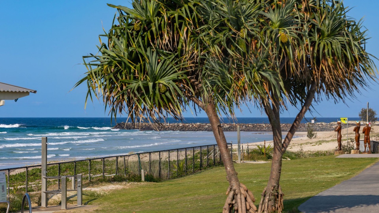 Photo of Others in Casuarina