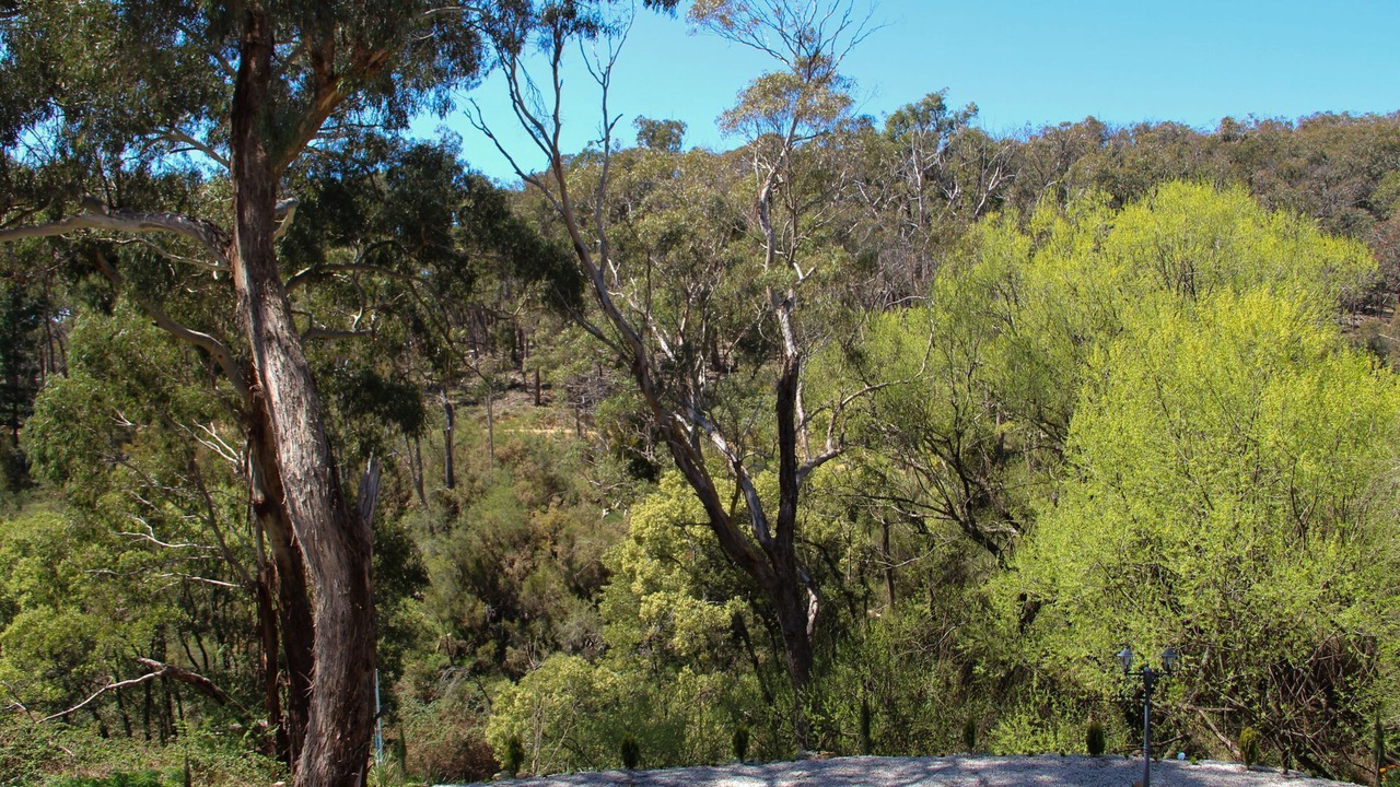 Photo of Others in Hepburn Springs