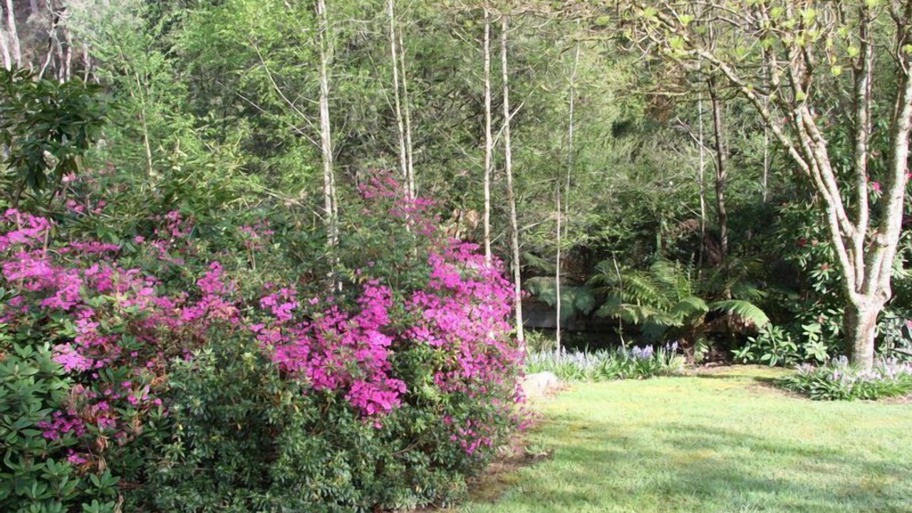 Photo of Outdoor in Harrietville