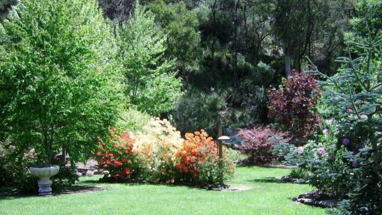 Photo of Outdoor in Harrietville