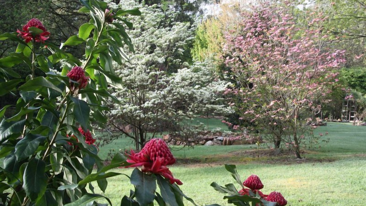 Photo of Outdoor in Harrietville