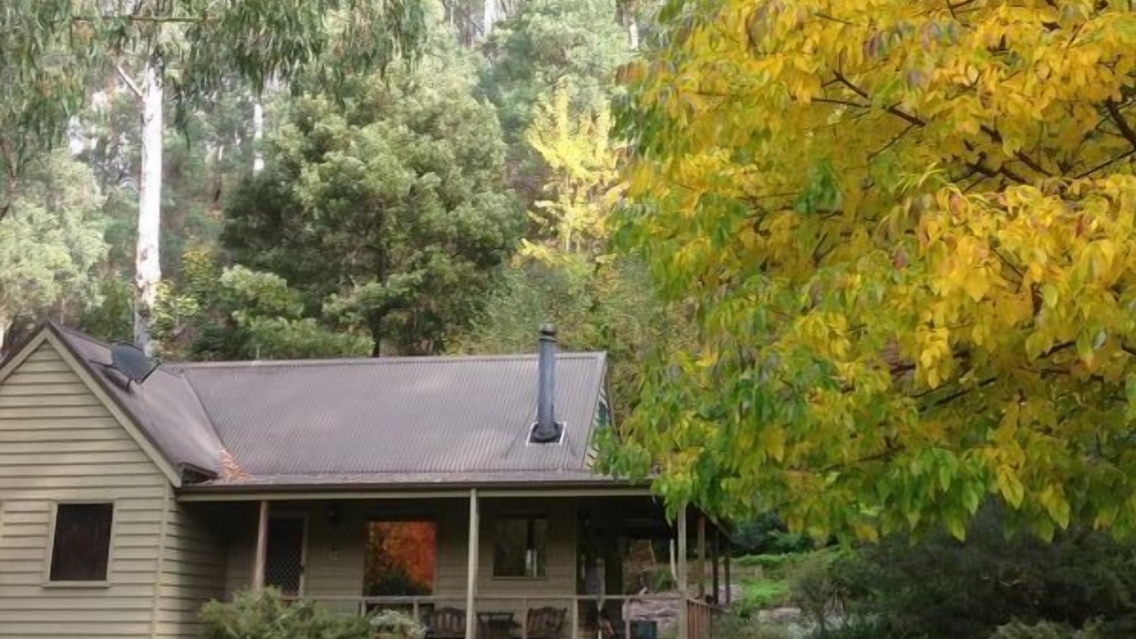 Photo of Outdoor in Harrietville