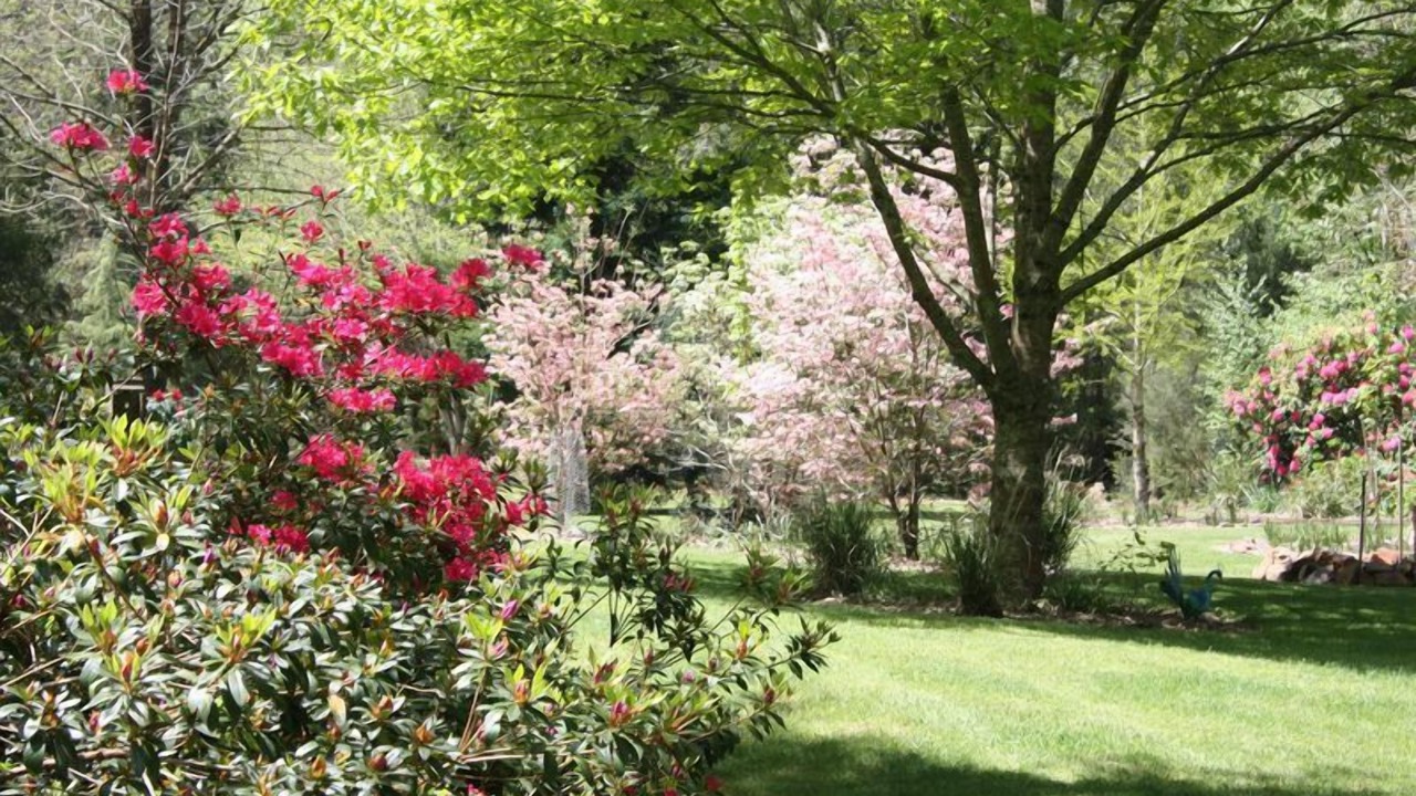 Photo of Outdoor in Harrietville