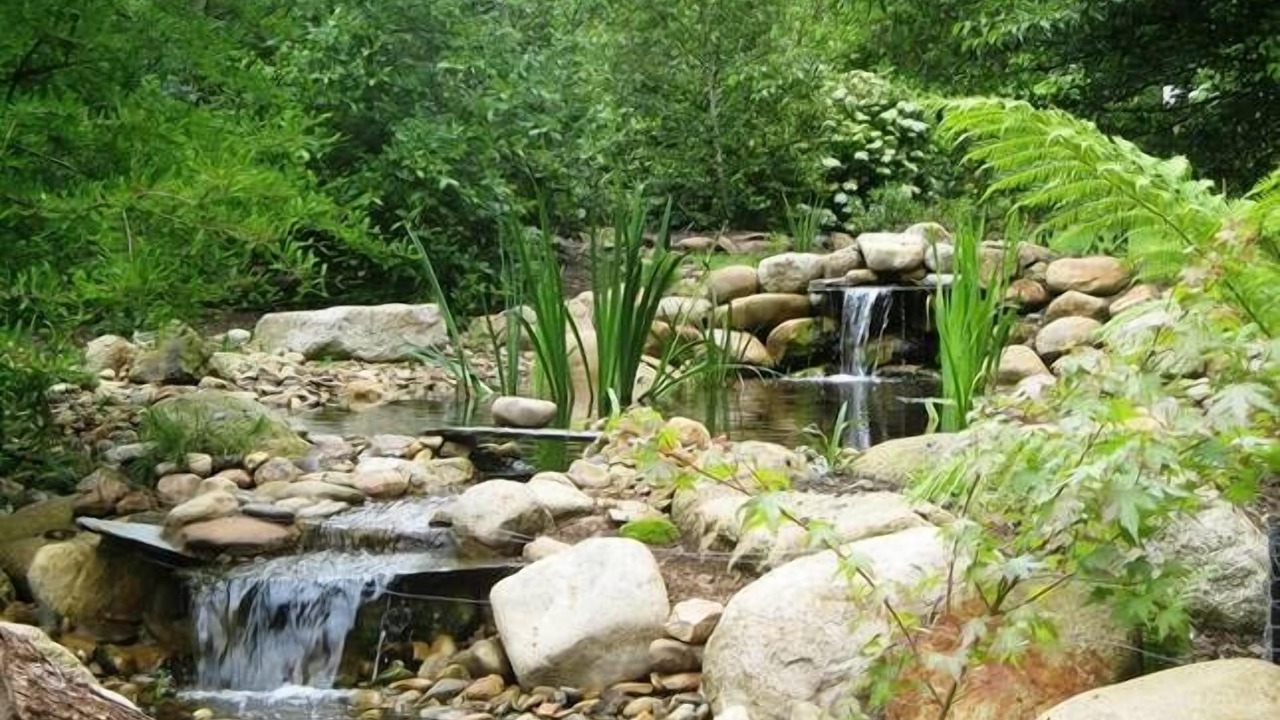 Photo of Outdoor in Harrietville