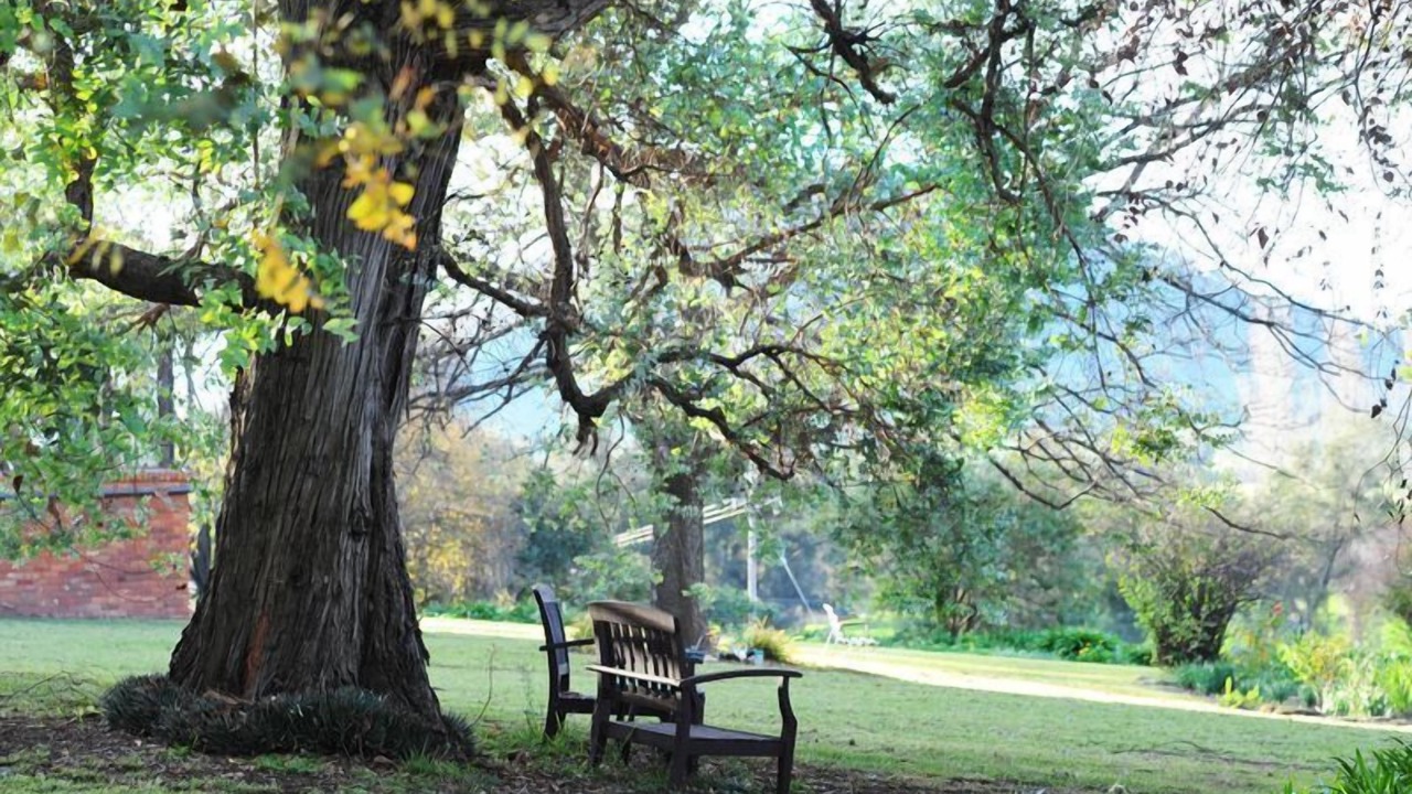Photo of Outdoor in Central Mudgee