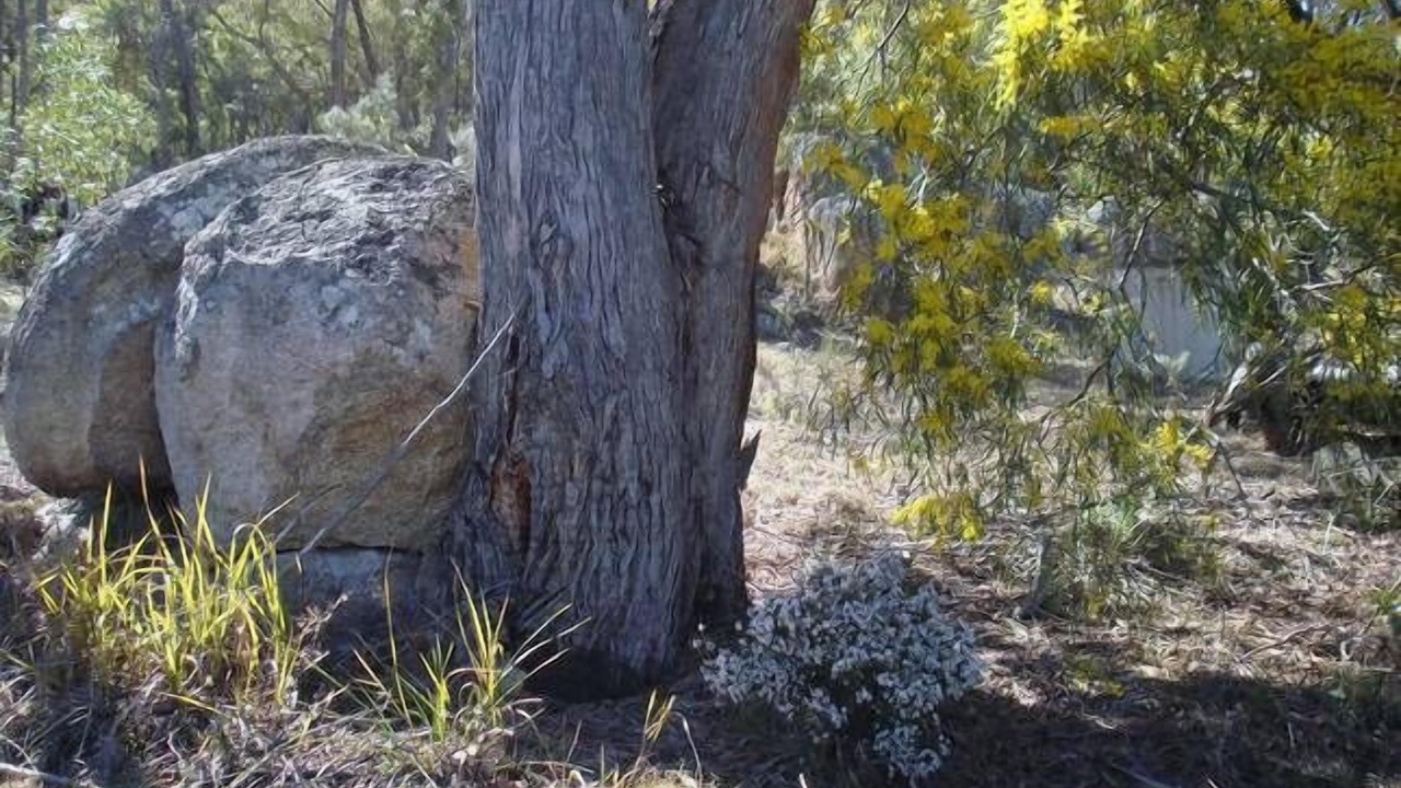 Photo of Outdoor in Stanthorpe