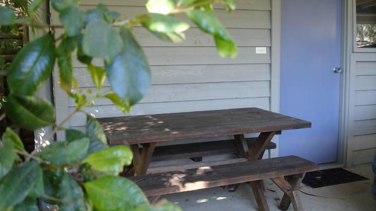 Photo of Outdoor in Avoca Beach