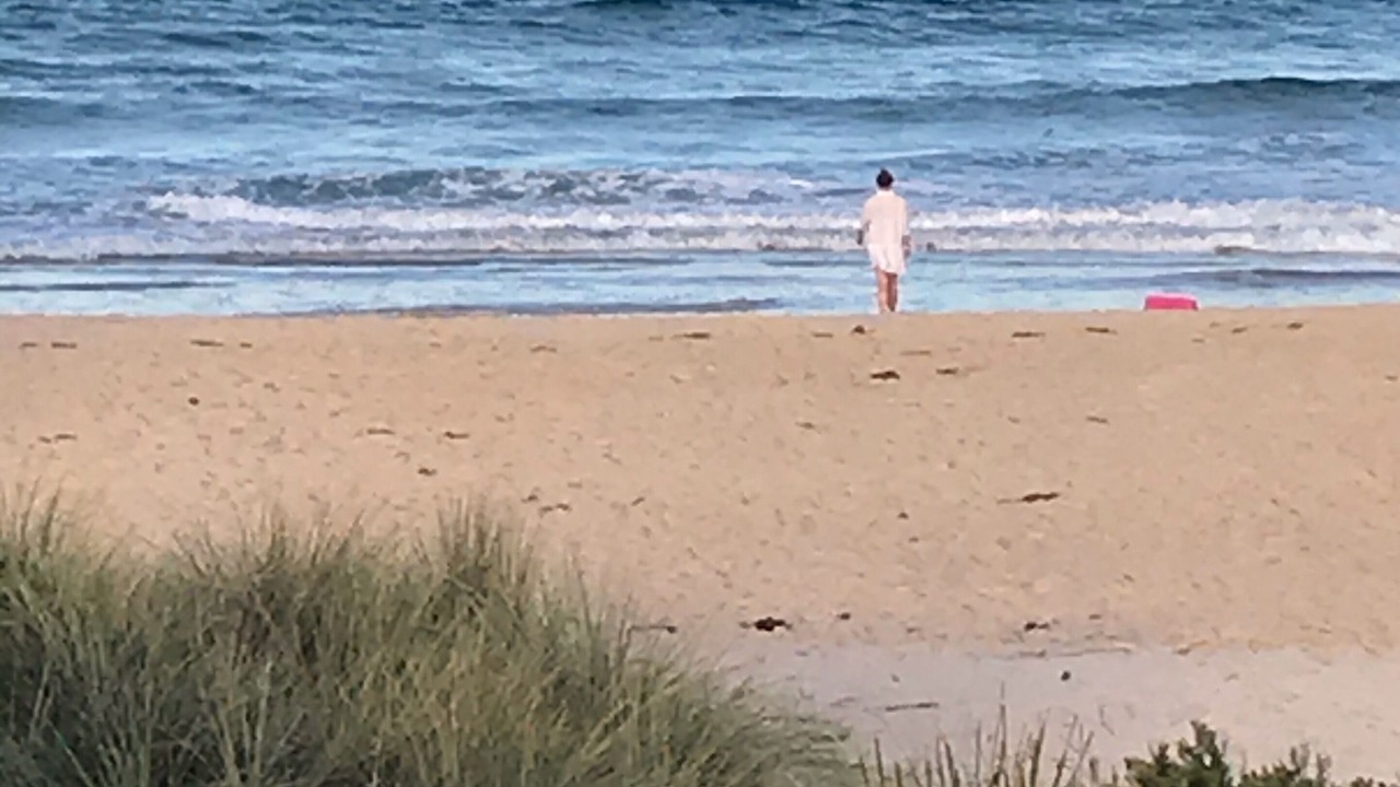 Photo of Others in Narrawallee