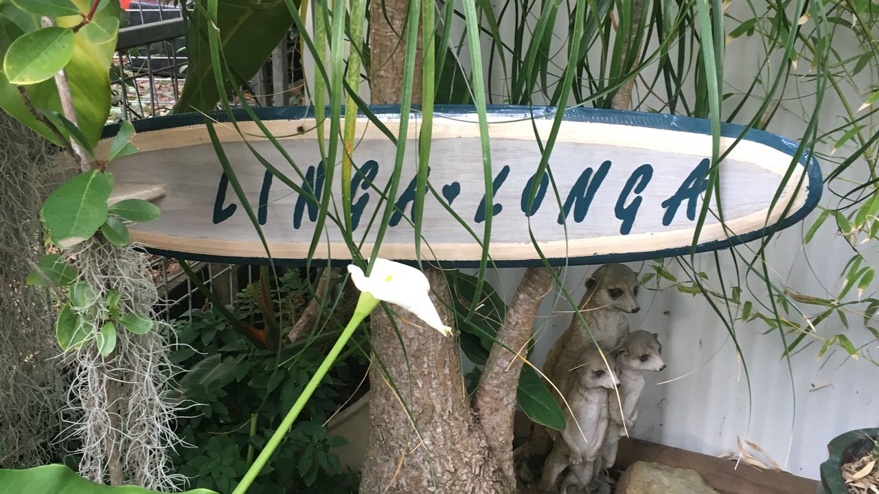 Photo of Outdoor in Narrawallee