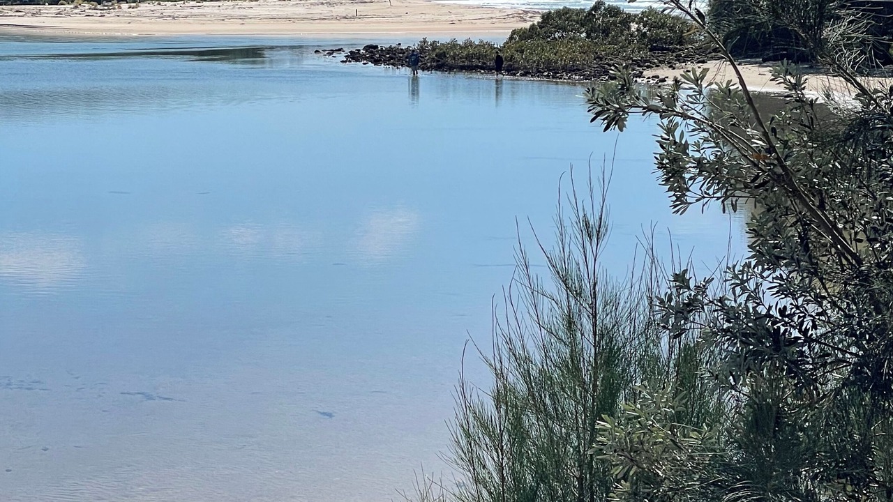 Photo of Others in Narrawallee