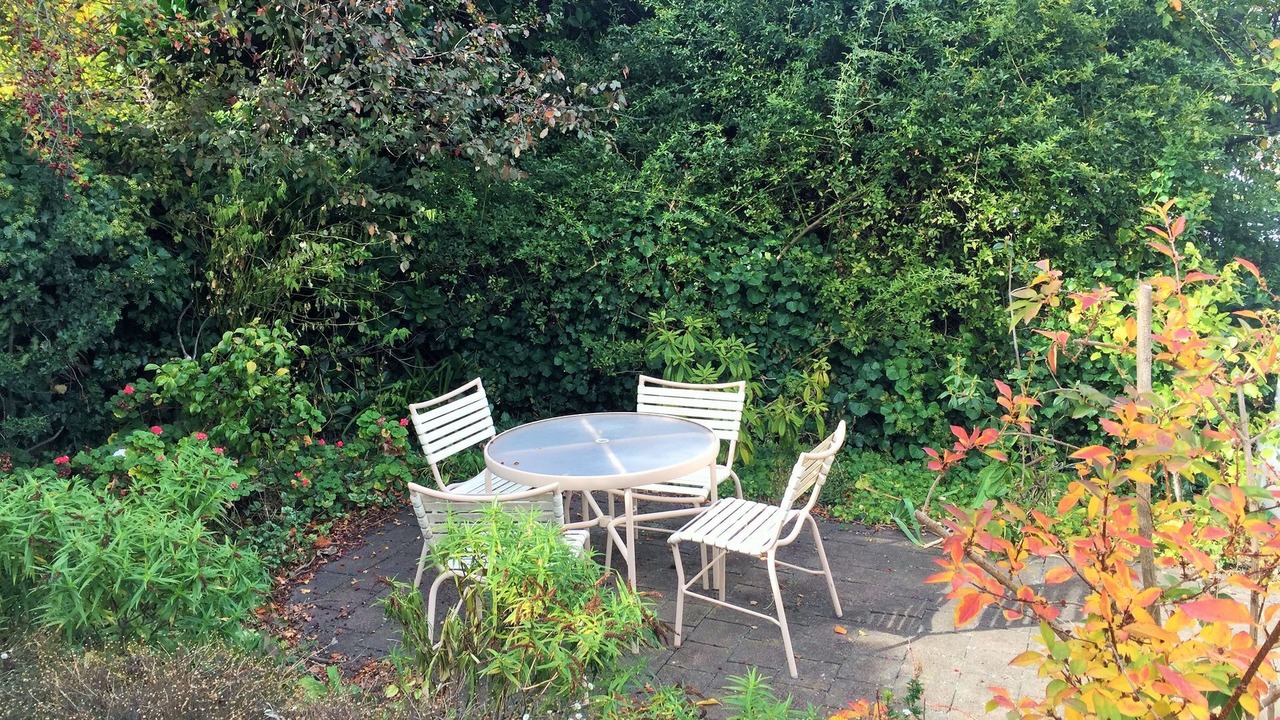 Photo of Outdoor in Mount Stuart