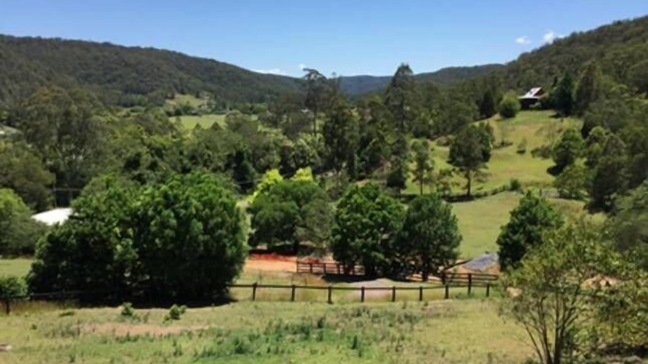 Photo of Outdoor in Yarramalong