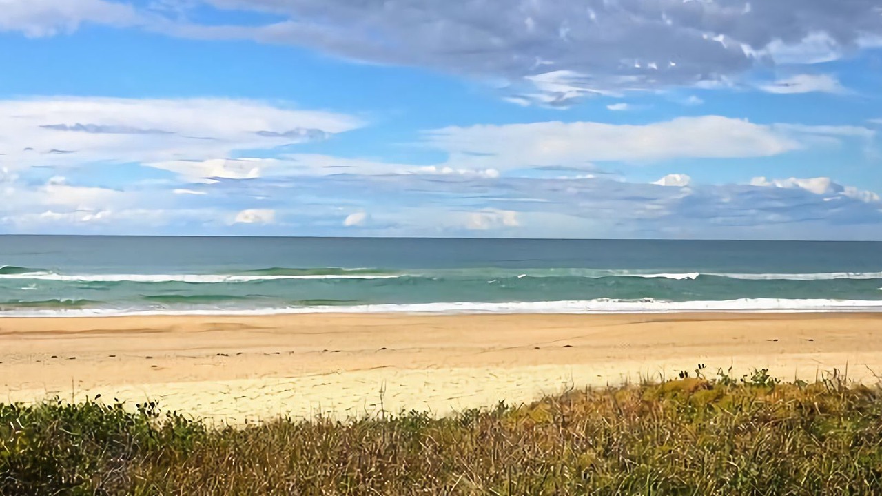 Photo of Others in Sawtell