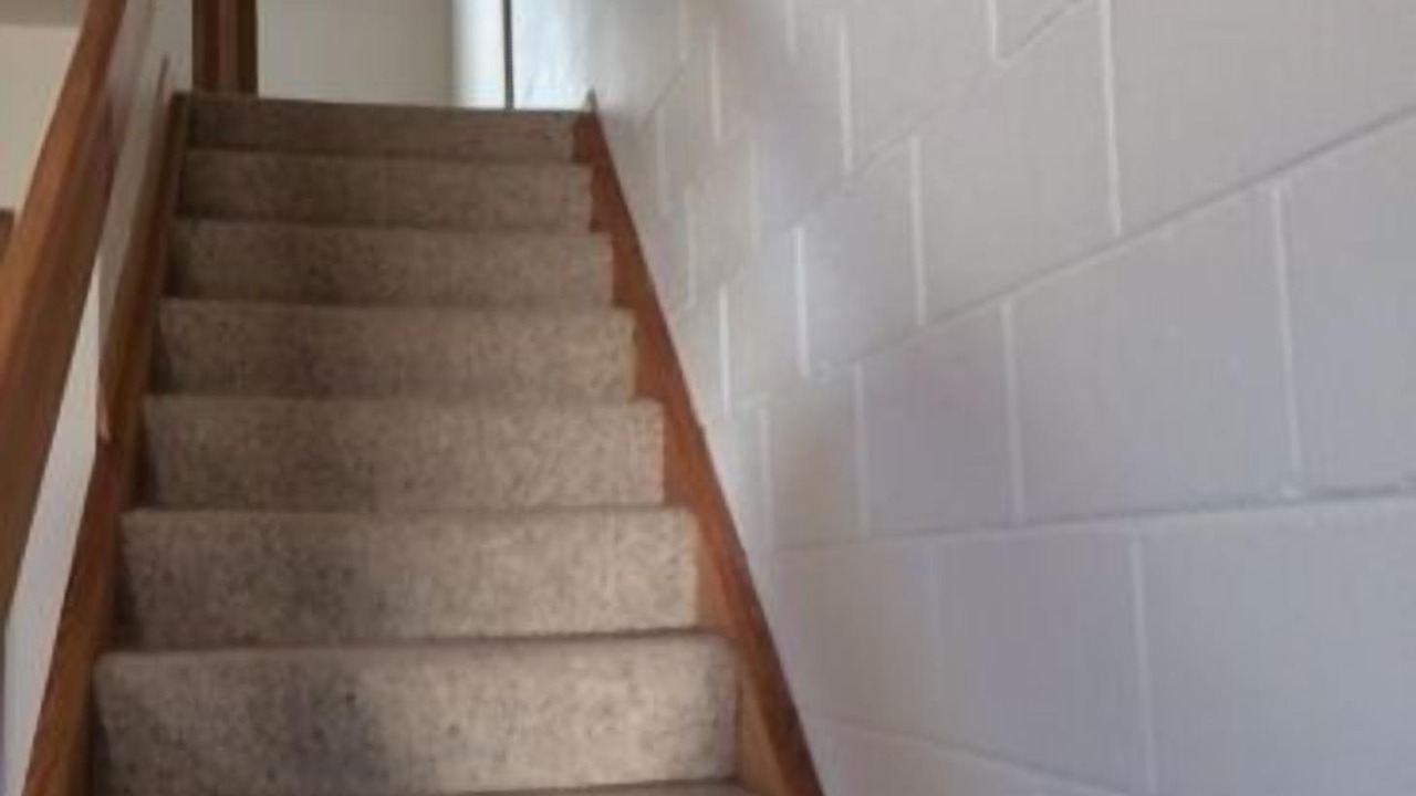 Photo of Others in Hotham Heights