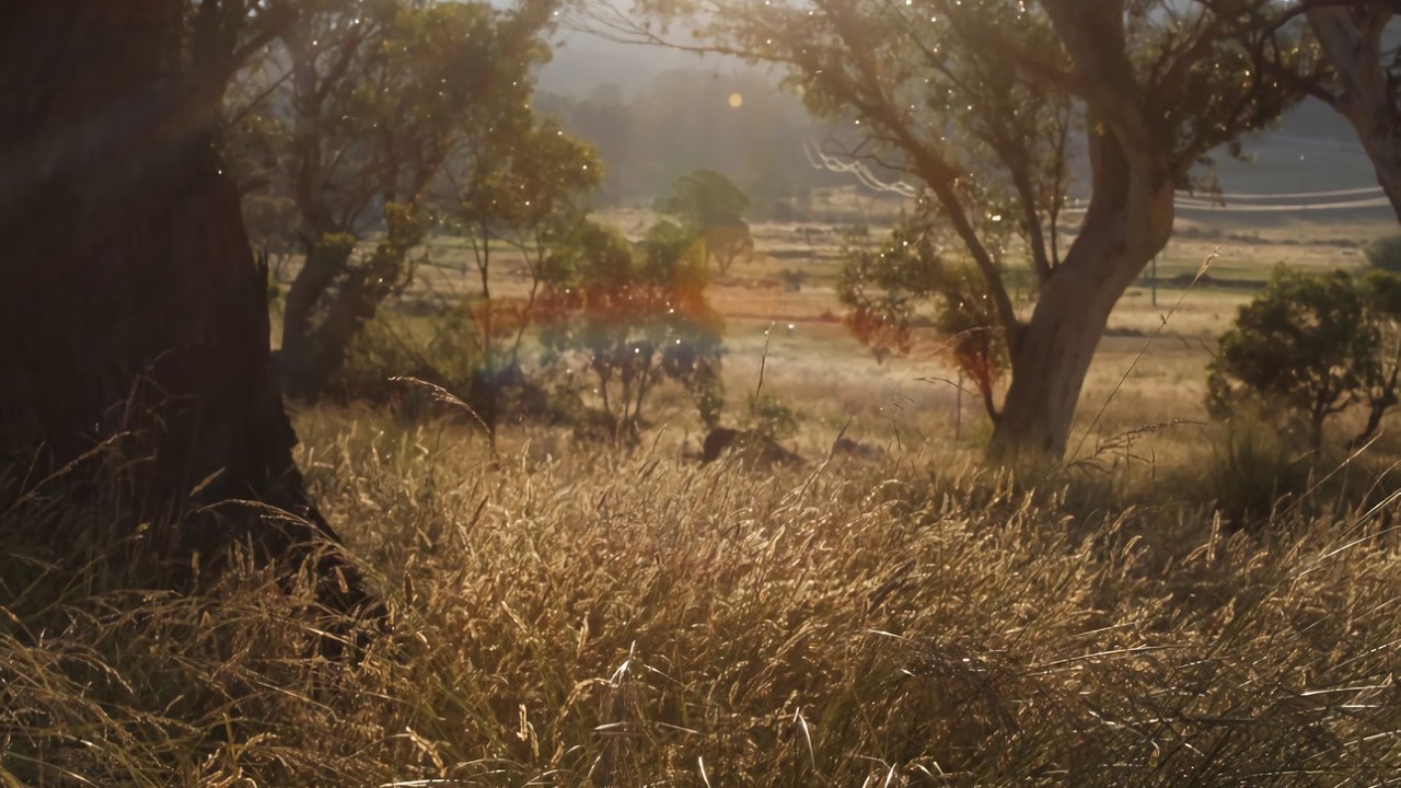 Photo of Outdoor in Crackenback