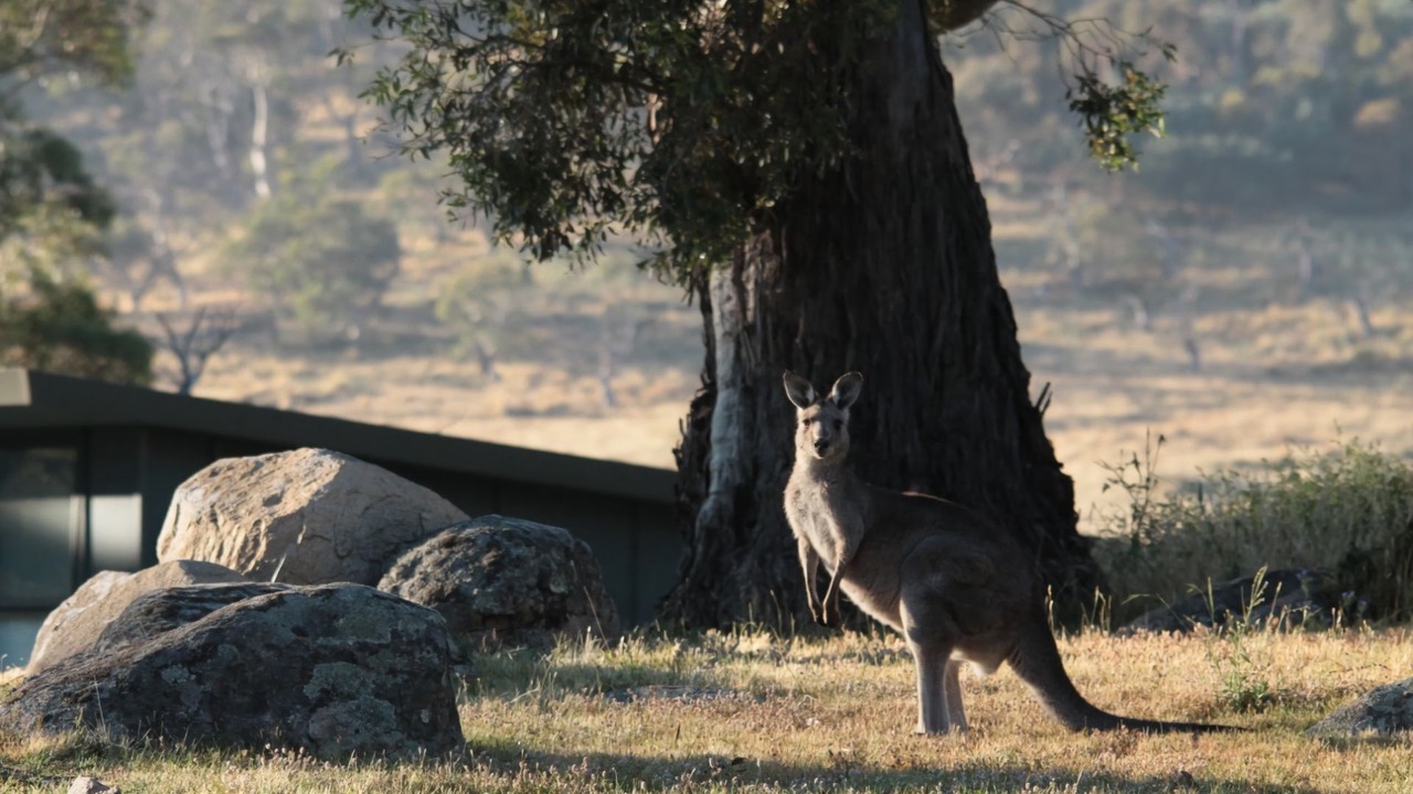 Photo of Outdoor in Crackenback