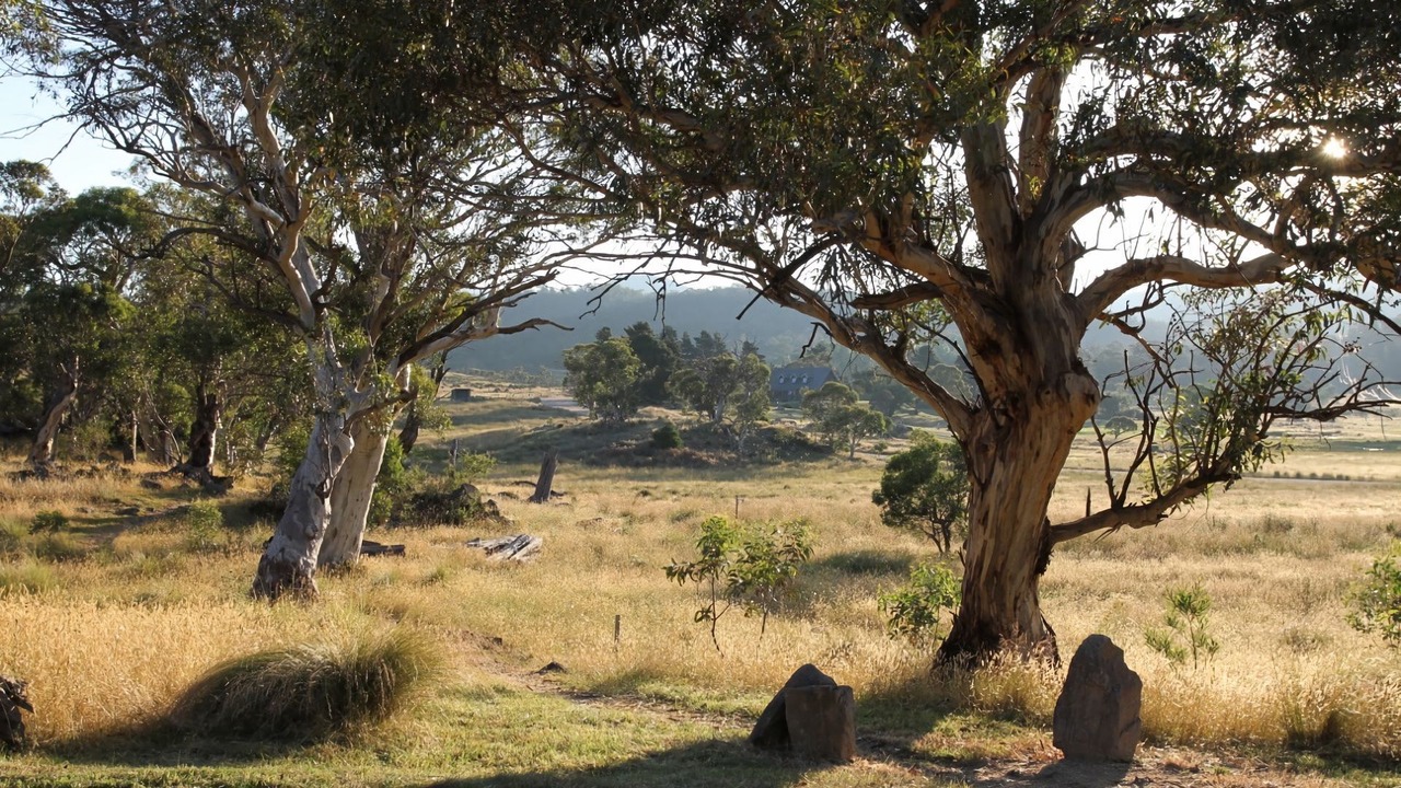 Photo of Outdoor in Crackenback