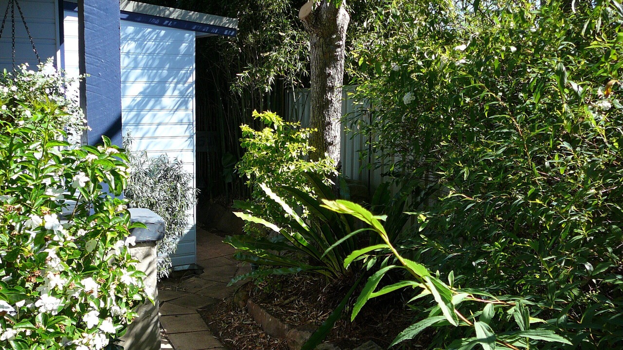 Photo of Others in Kirrawee