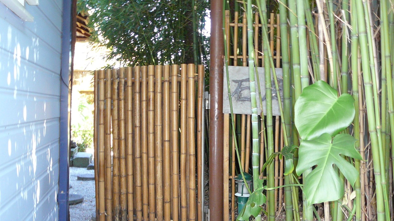 Photo of Outdoor in Kirrawee