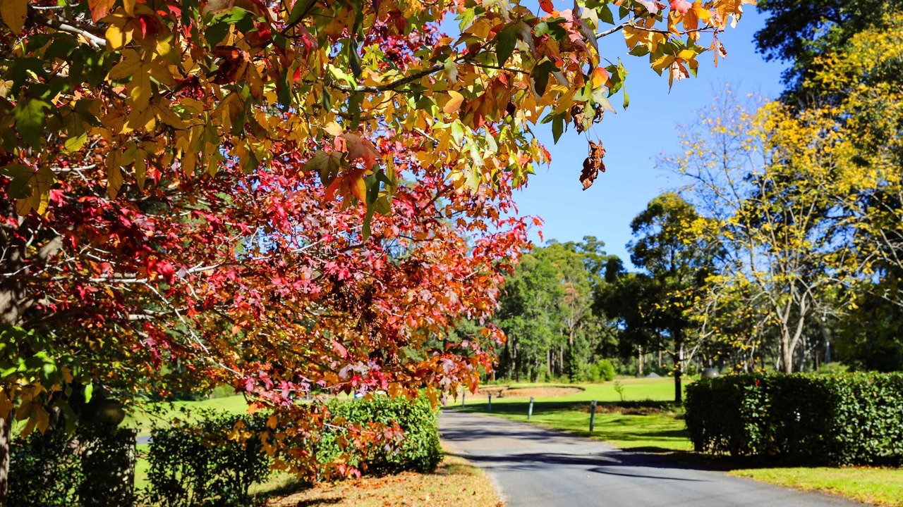 Photo of Outdoor in Kangaroo Valley