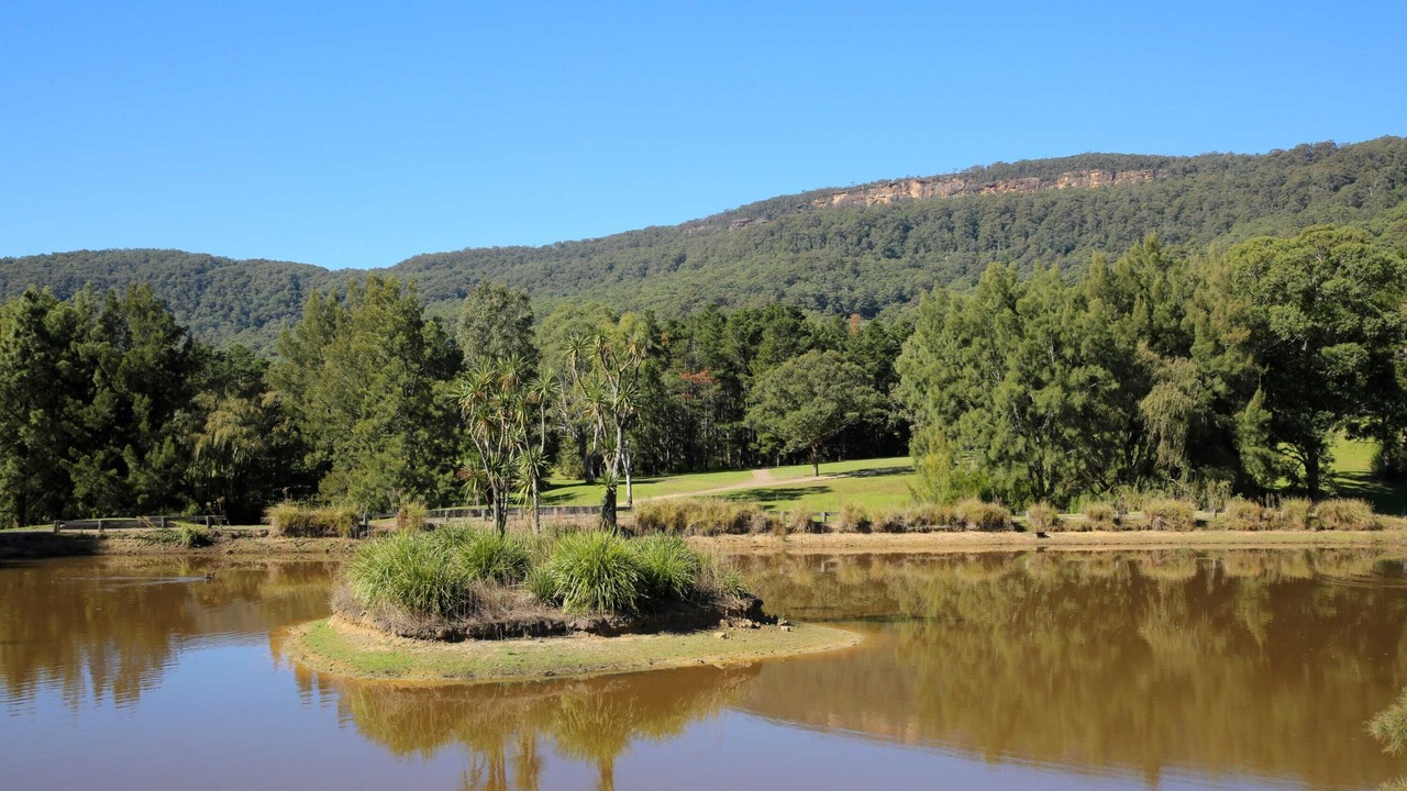 Photo of Others in Kangaroo Valley