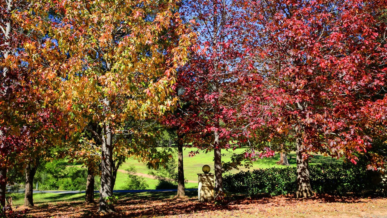 Photo of Outdoor in Kangaroo Valley