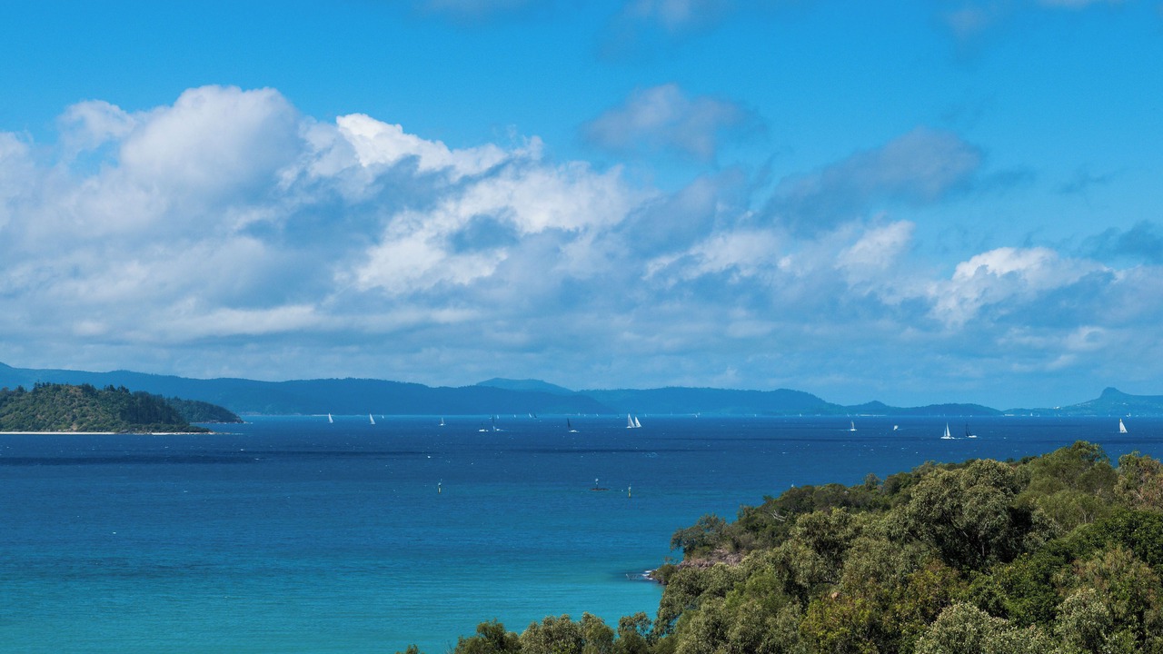 Photo of Others in Shute Harbour