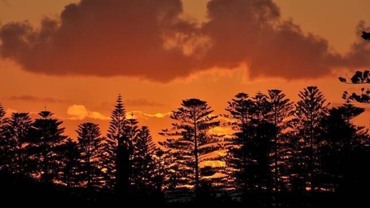 Photo of Outdoor in Kiama