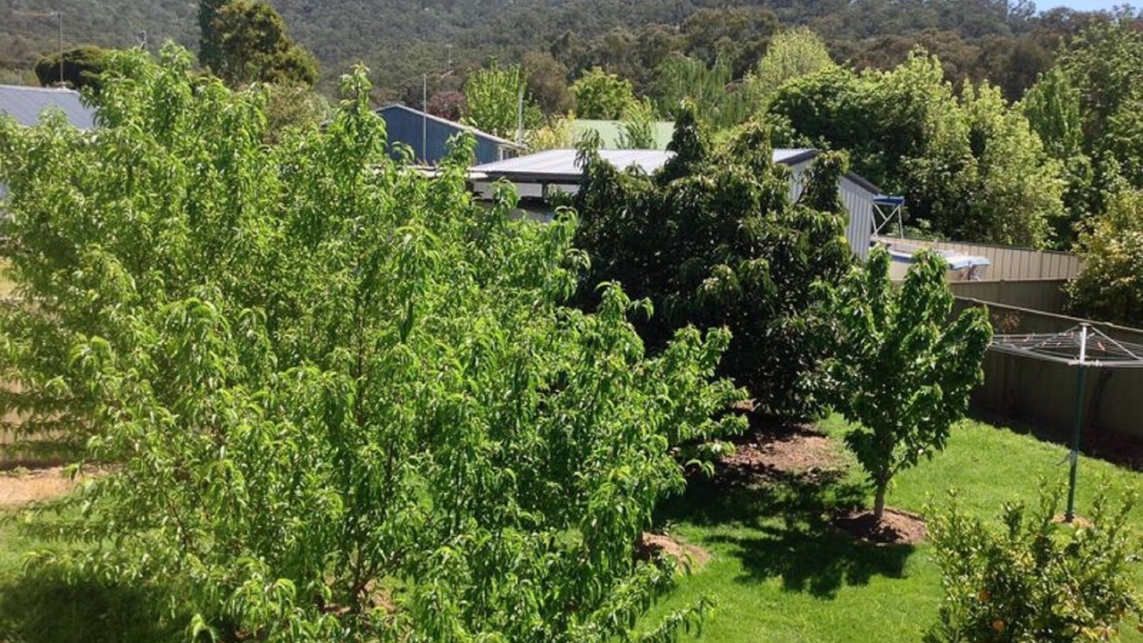 Photo of Outdoor in Eildon