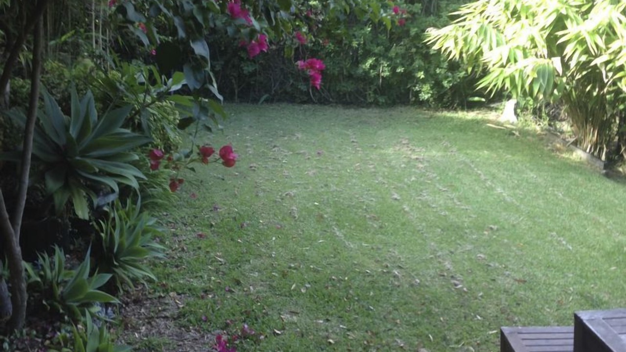 Photo of Outdoor in North Narrabeen