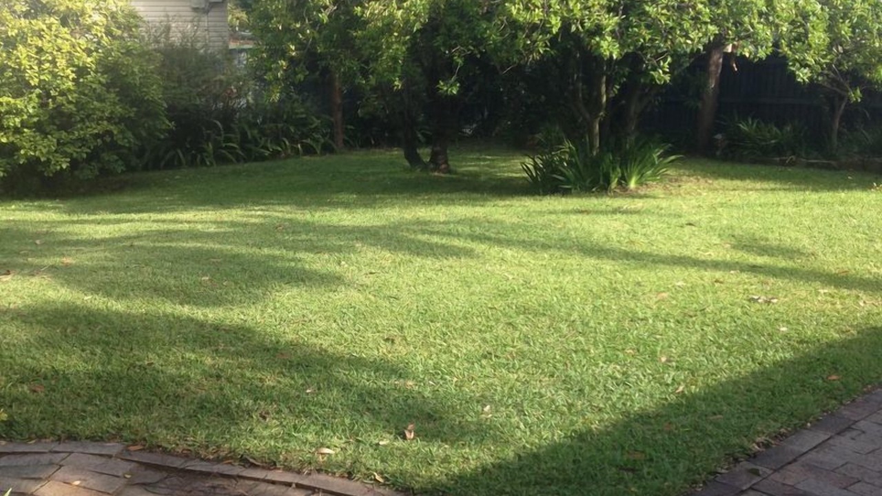 Photo of Outdoor in North Narrabeen
