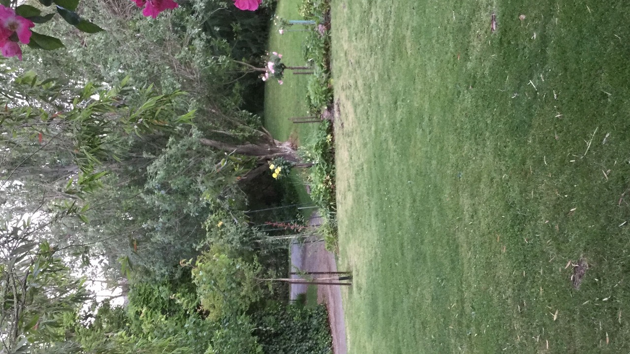 Photo of Outdoor in Dixons Creek
