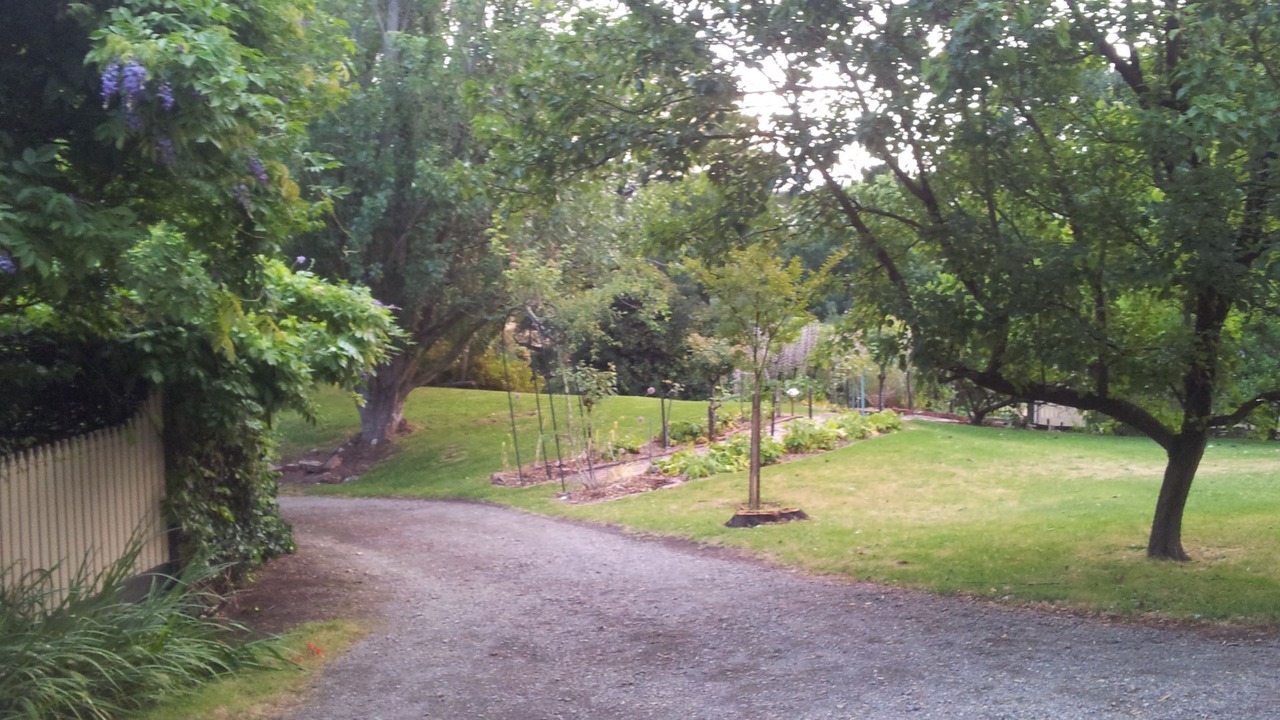 Photo of Outdoor in Dixons Creek