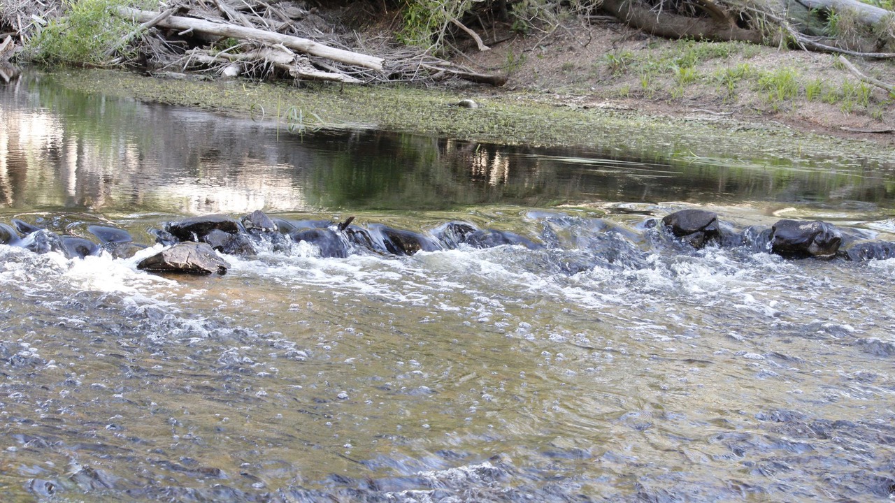 Photo of Others in Brayton