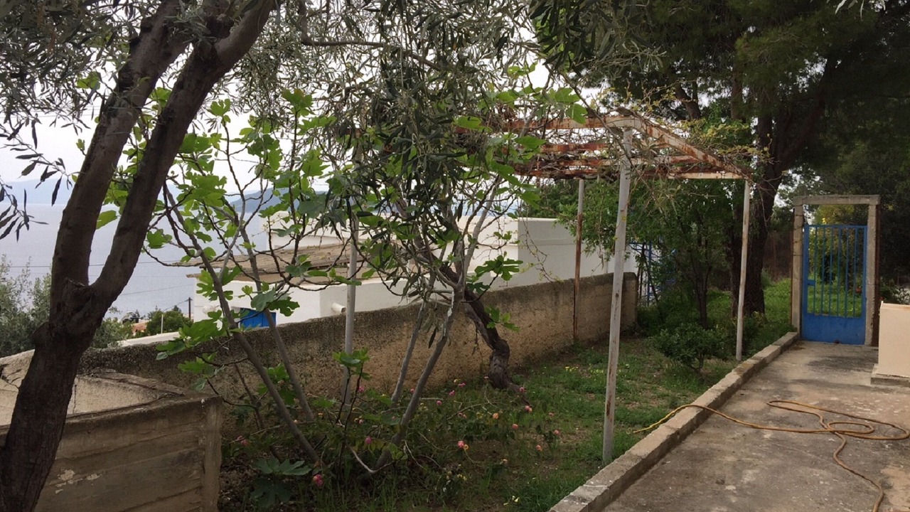 Photo of Outdoor in Aegina Town
