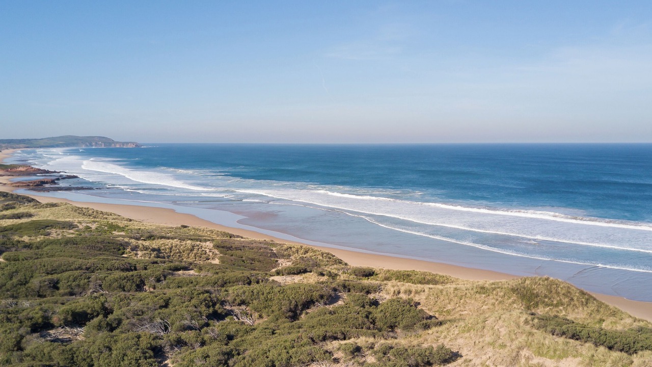 Photo of Others in Surf Beach
