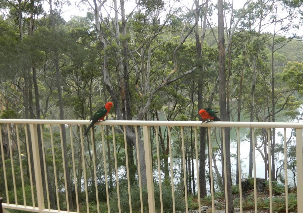 Photo of Others in Smiths Lake